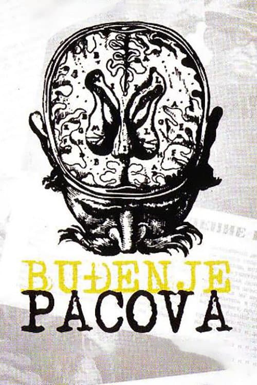 Постер: Буђење пацова