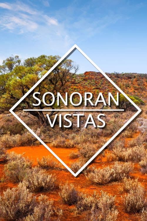 Постер: Sonoran Vistas