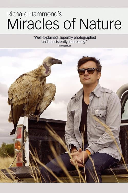 Постер: Richard Hammond's Miracles of Nature
