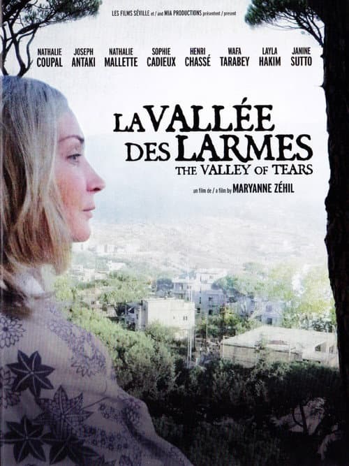 Постер: La Vallée des larmes