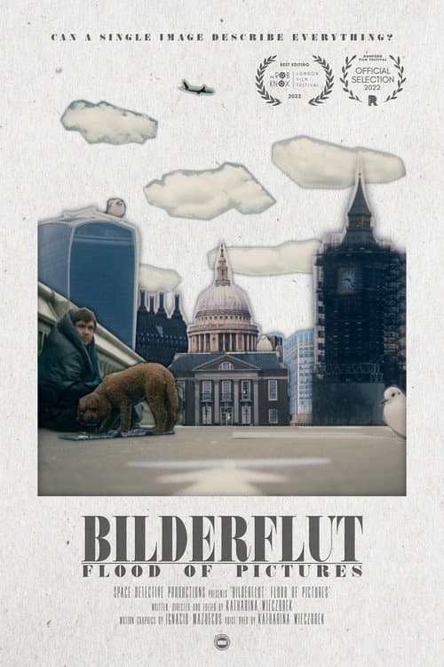Постер: Bilderflut: Flood of Pictures