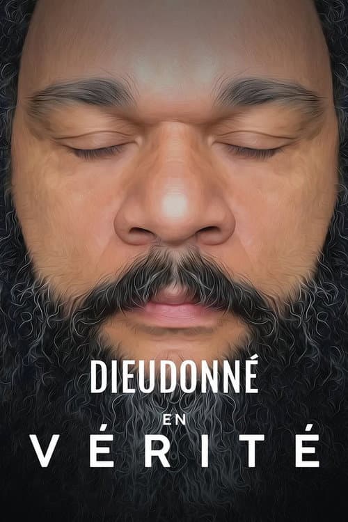 Постер: Dieudonné - En vérité