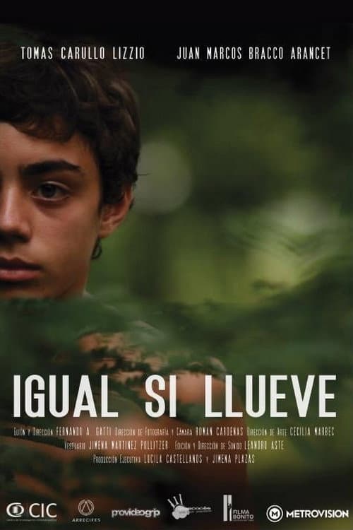 Постер: Igual si llueve