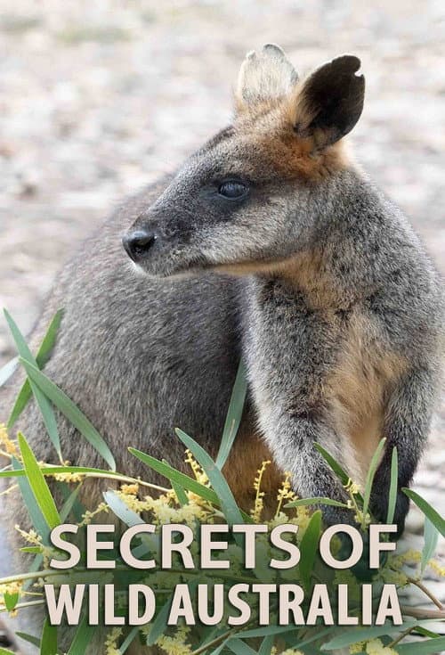 Постер: Secrets of Wild Australia