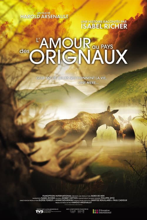Постер: L'amour au pays des orignaux