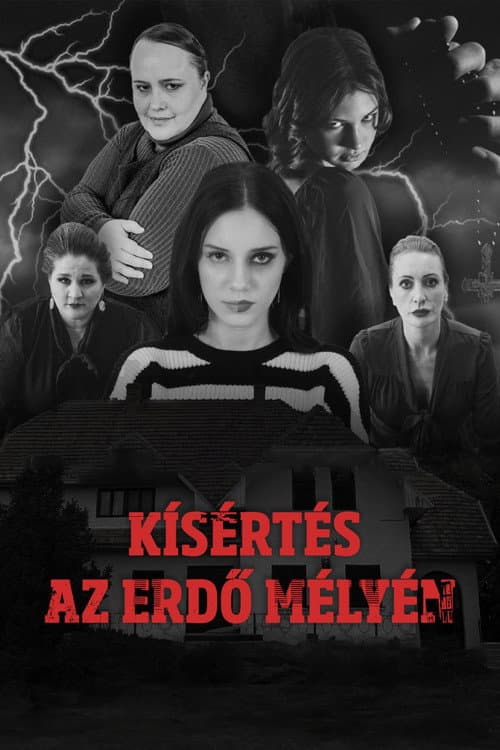 Постер: Kísértés az erdő mélyén - "A Megtört Fény"