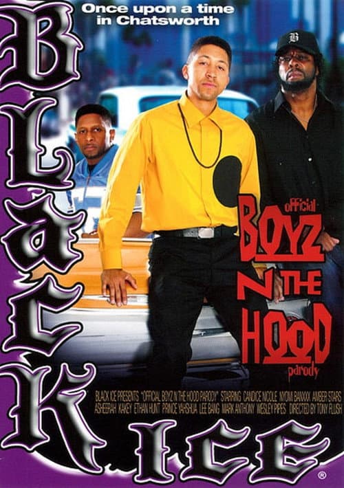 Постер: Official Boyz n the Hood Parody