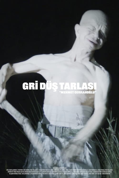 Постер: Gri Düş Tarlası