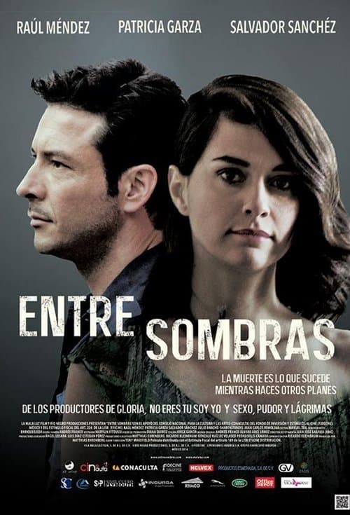 Постер: Entre Sombras