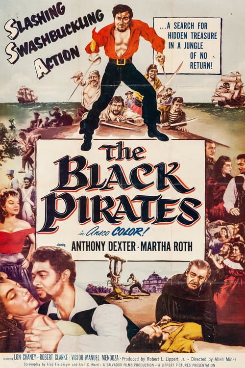 Постер: The Black Pirates
