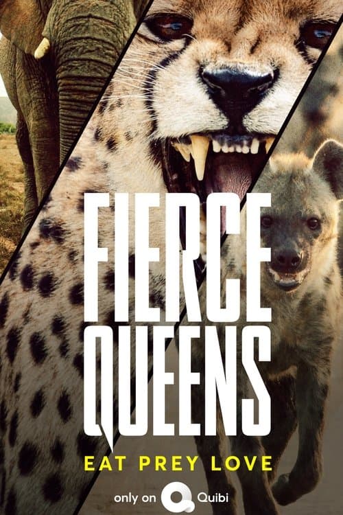 Постер: Fierce Queens