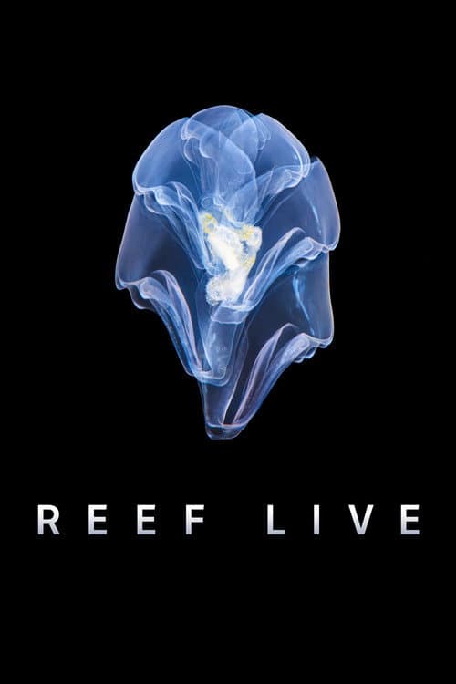 Постер: Reef Live