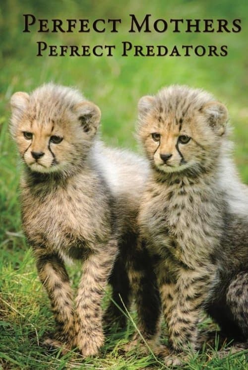 Постер: Perfect Mothers, Perfect Predators