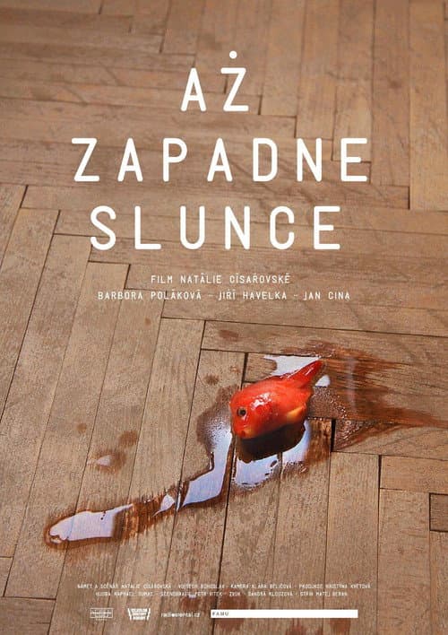 Постер: Až zapadne slunce