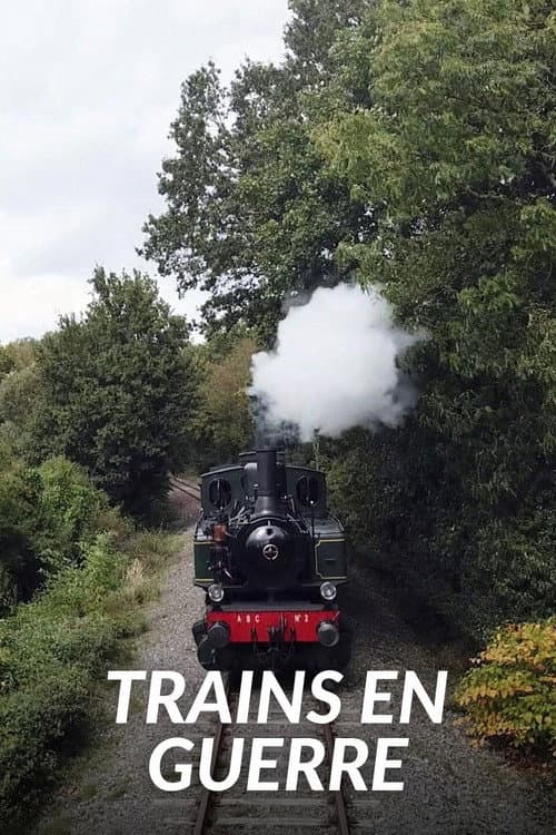 Постер: Trains en guerre