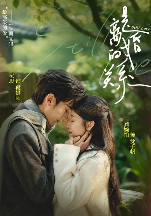 Постер: 是离婚的关系