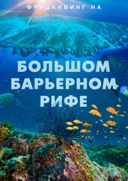 Постер: Фридайвинг на Большом Барьерном рифе
