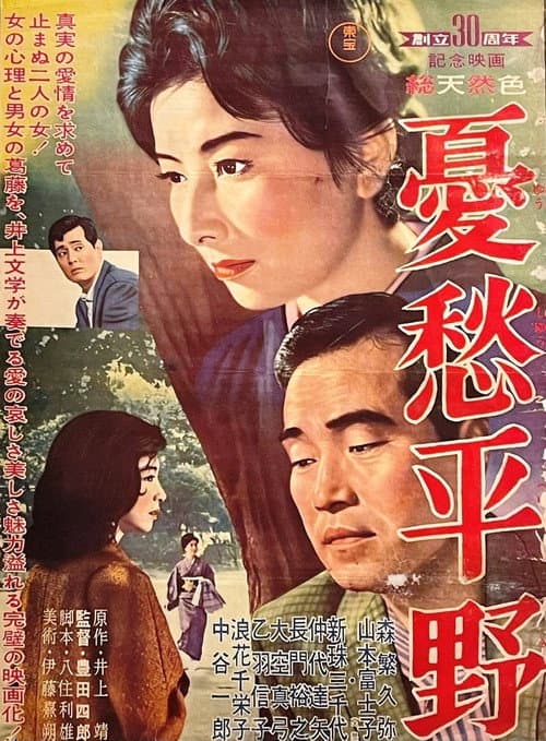 Постер: 憂愁平野