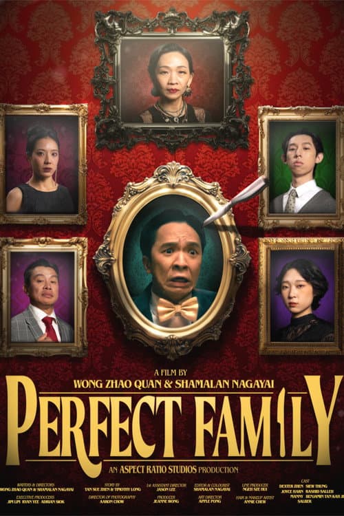 Постер: Perfect Family