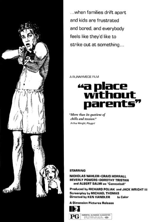 Постер: A Place Without Parents