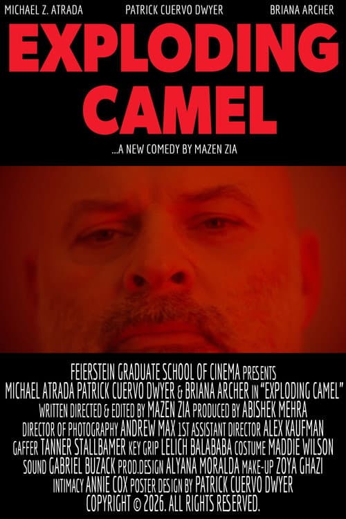 Постер: Exploding Camel