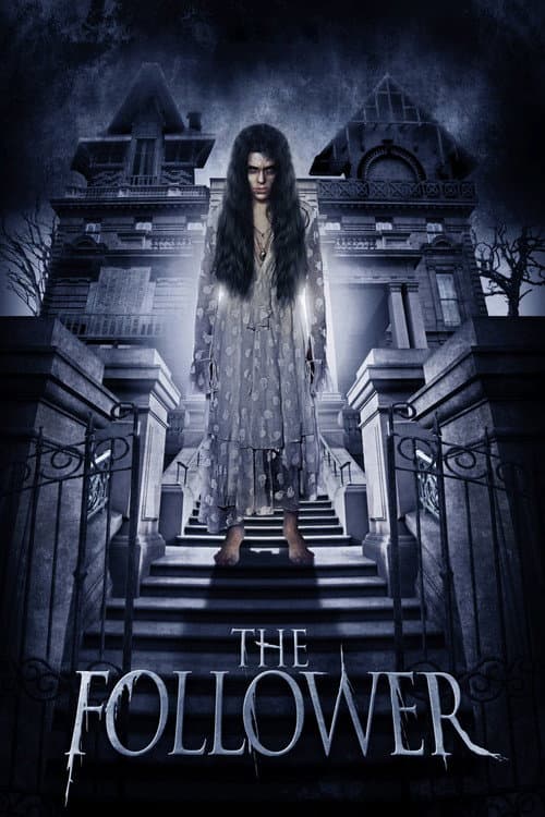 Постер: The Follower