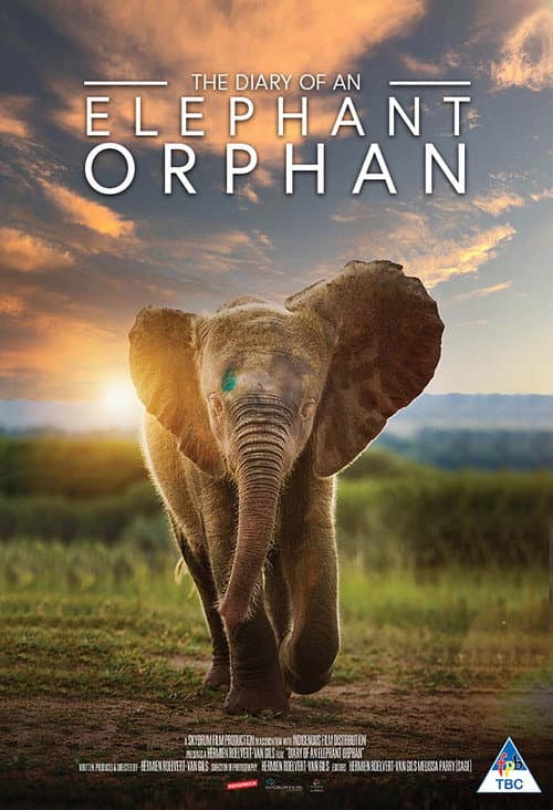 Постер: Diary of an Elephant Orphan