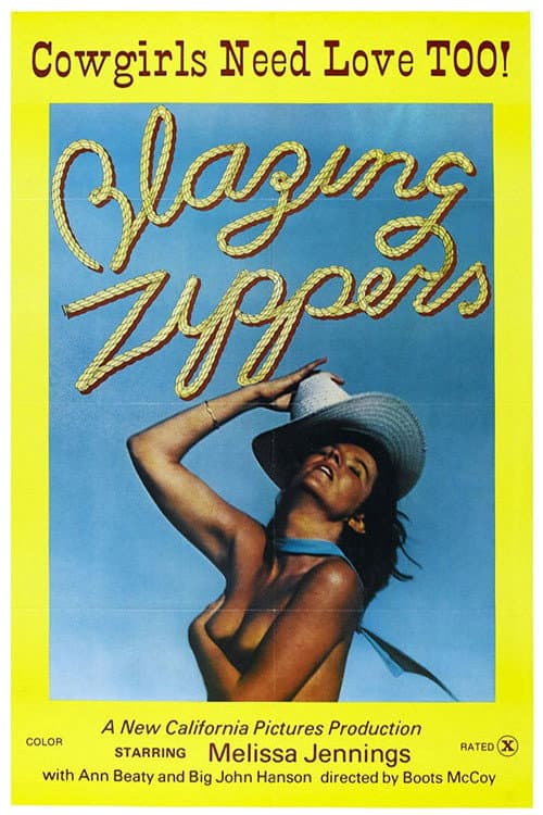 Постер: Blazing Zippers