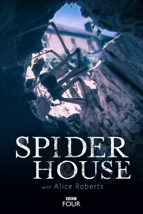 Постер: Spider House