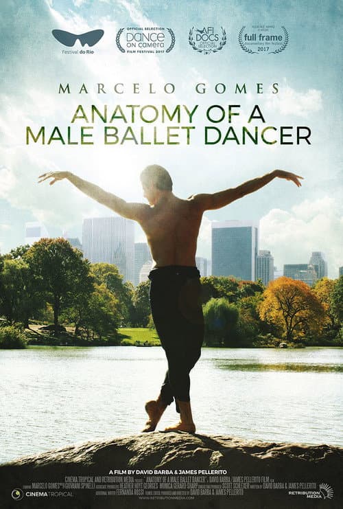 Постер: Anatomy of a Male Ballet Dancer