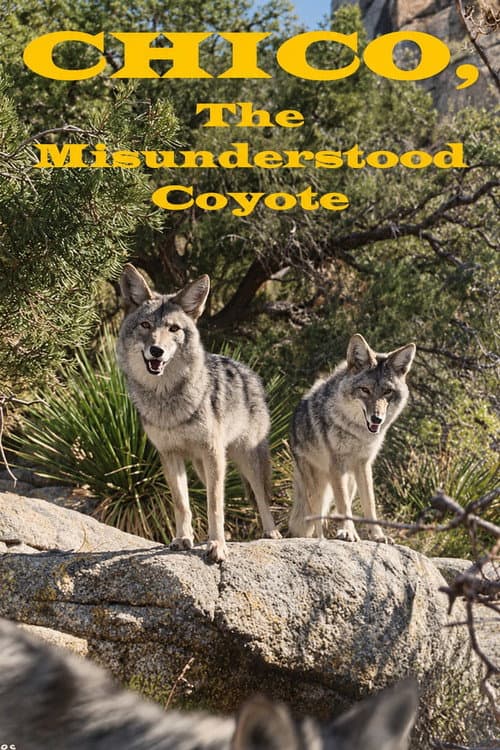 Постер: Chico, the Misunderstood Coyote