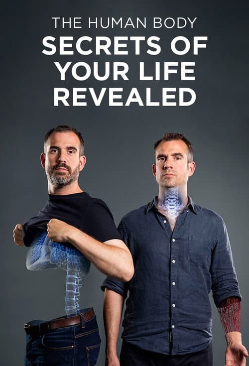 Постер: The Human Body: Secrets of Your Life Revealed
