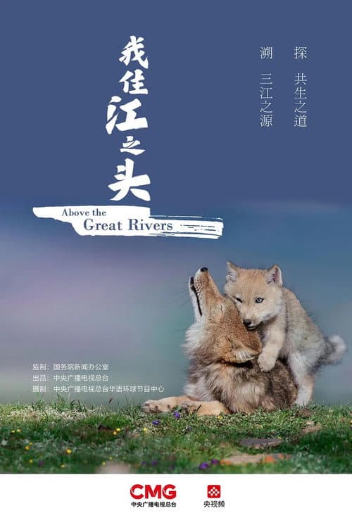 Постер: 我住江之头