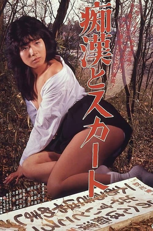 Постер: 痴漢とスカート