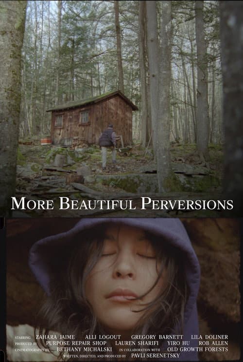 Постер: More Beautiful Perversions
