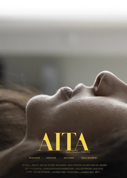 Постер: AITA
