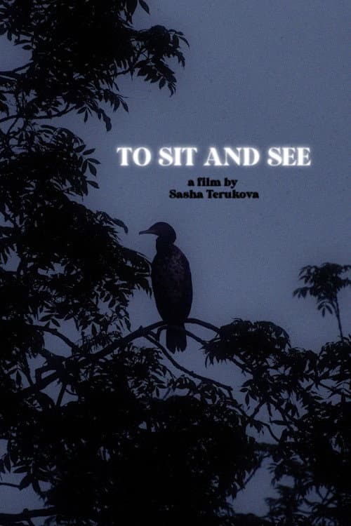 Постер: To Sit and See