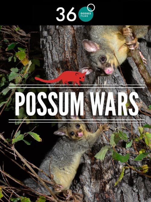 Постер: Possum Wars