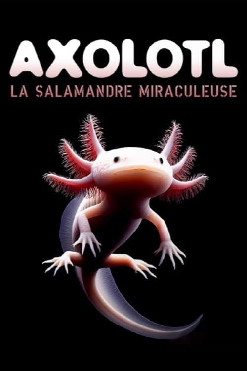 Постер: Axolotl, la salamandre miraculeuse