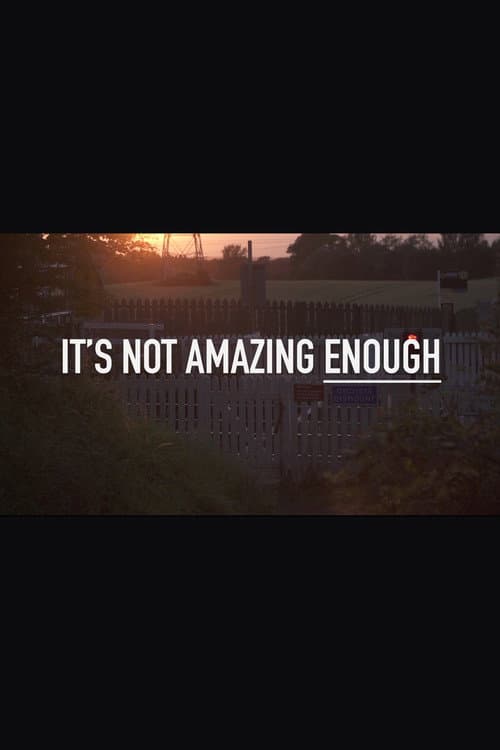 Постер: It's Not Amazing Enough