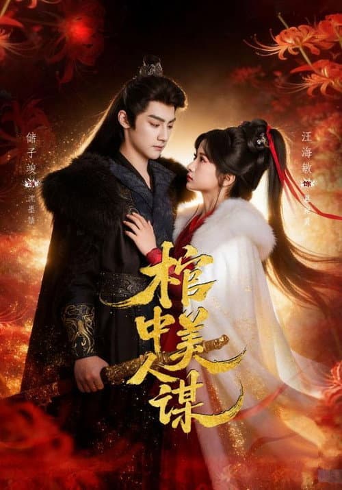 Постер: 棺中美人谋