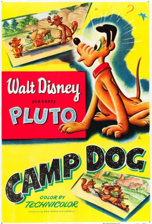 Постер: Camp Dog
