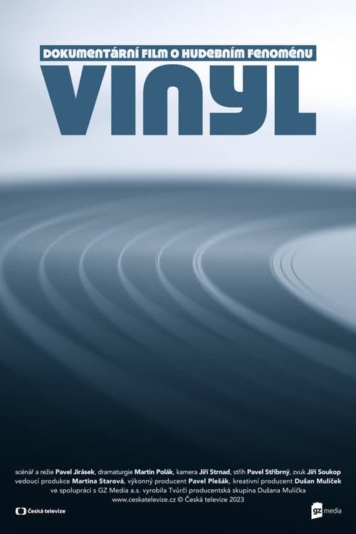 Постер: Vinyl