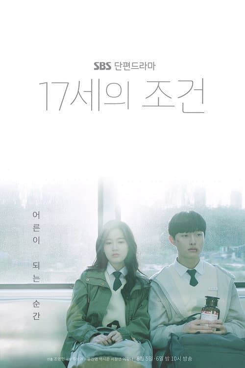 Постер: 17세의 조건