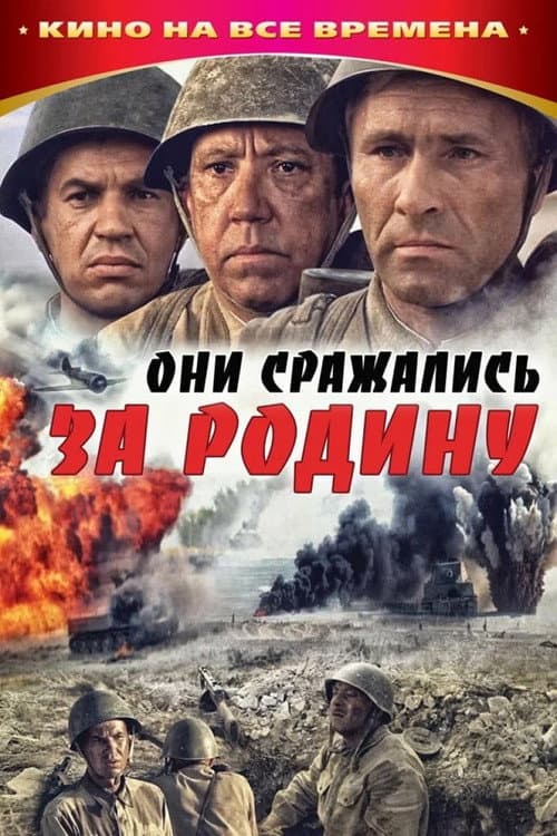 Кадр 5