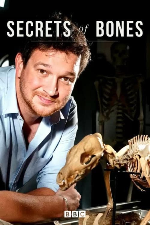 Постер: Secrets of Bones
