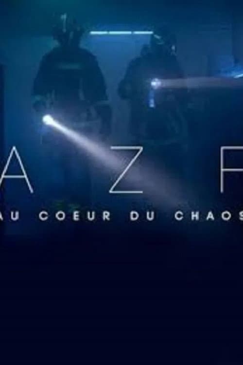 Постер: AZF: Au coeur du chaos