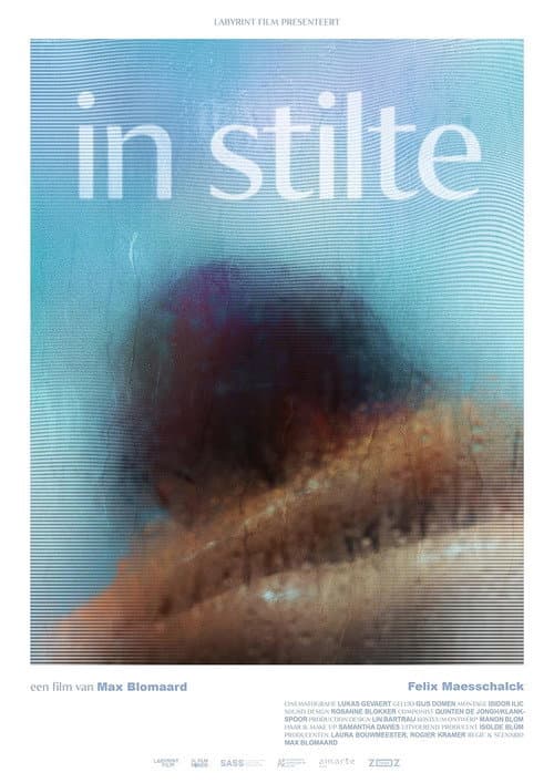 Постер: In Stilte