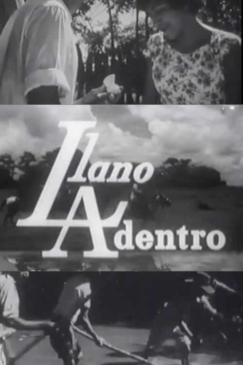 Постер: Llano adentro