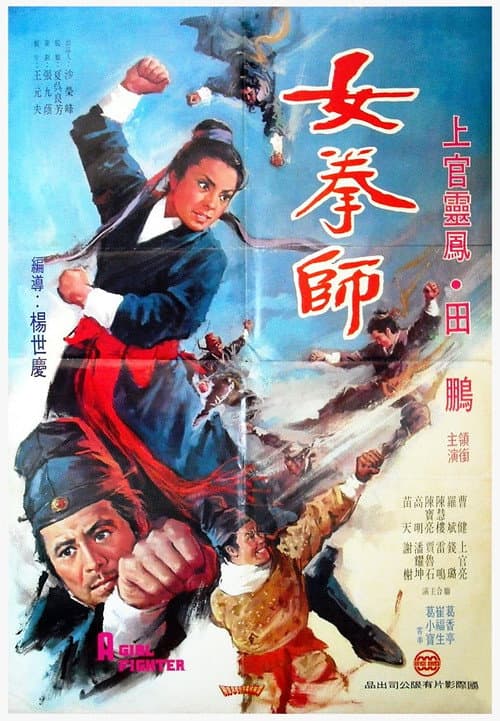 Постер: 女拳師